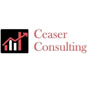 Image for Ceaser Consulting, LLC with ID of: 5220521