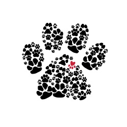 Image for Wounded Paw Project with ID of: 5220947