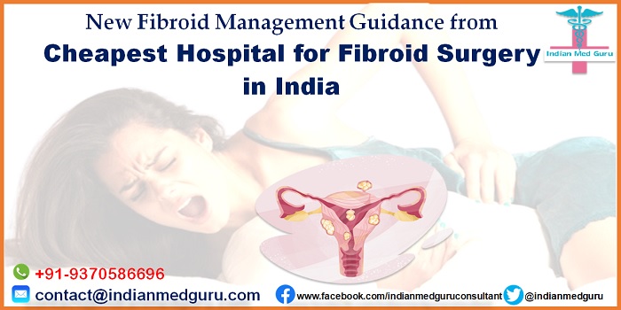 Image for Fibroid Surgery with ID of: 5227178