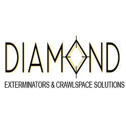 Image for Diamond Exterminators with ID of: 5227355