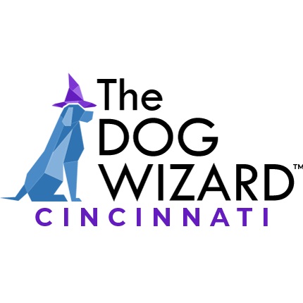 Image for The Dog Wizard with ID of: 5227501