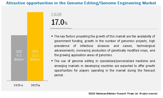 Image for Genome Engineering Market Insights and Recent Developments with ID of: 5238559