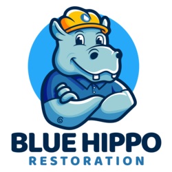 Image for Blue Hippo Restoration with ID of: 5239256