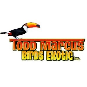 Image for Todd Marcus Birds Exotic with ID of: 5240775