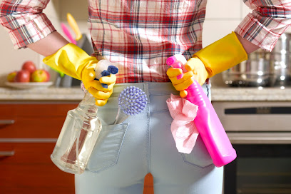 Image for Cleaning Ace with ID of: 5242029