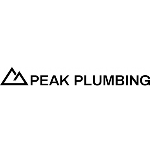 Image for Peak Plumbing & Drain Repair with ID of: 5242341