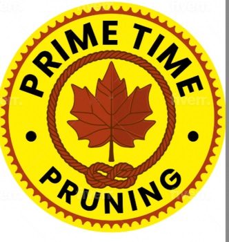 Image for Primetime Pruning with ID of: 5251365