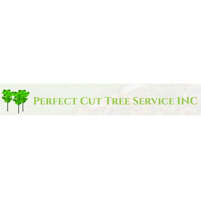 Image for tree care services blue ash oh with ID of: 5252806