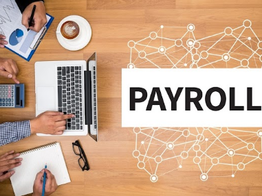 Image for The Payroll Lab with ID of: 5260722