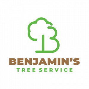 Image for Benjamin's Tree Service with ID of: 5267397