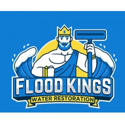 Image for TN Flood Kings with ID of: 5284525