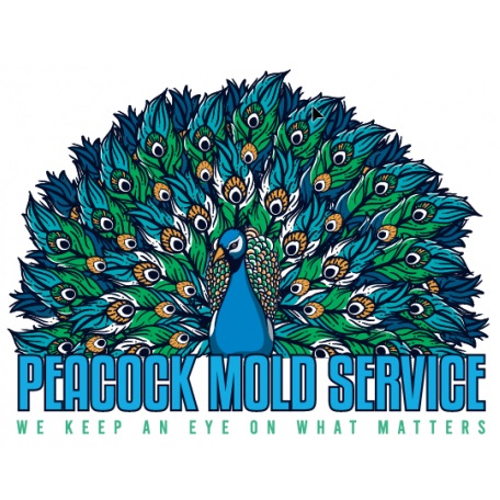 Image for Peacock Mold Services with ID of: 5286059