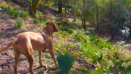Image for Walkies with ID of: 5290568