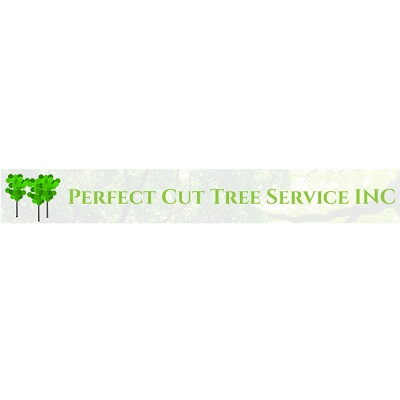 Image for same-day dumpster service cincinnati with ID of: 5295237