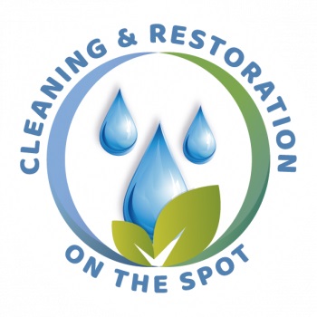 Image for Cleaning On The Spot with ID of: 5300669