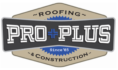 Image for Pro Plus Roofing & Construction with ID of: 5300914