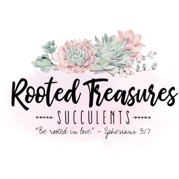 Image for Rooted Treasures Succulents with ID of: 5304476