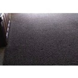 Image for Mr Clean Carpet Care with ID of: 5304896