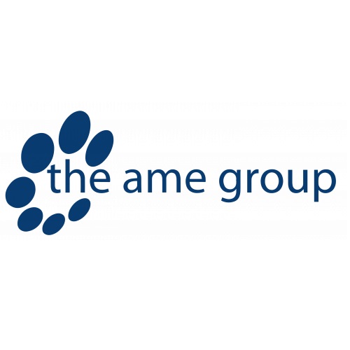 Image for The AME Group with ID of: 5317515