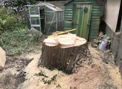 Image for Embark Tree Care with ID of: 5318553