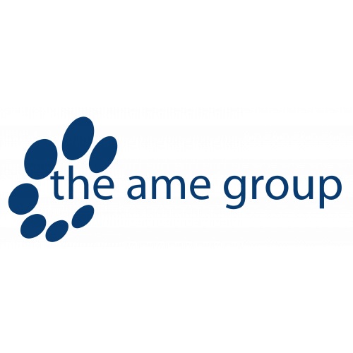 Image for The AME Group with ID of: 5318726
