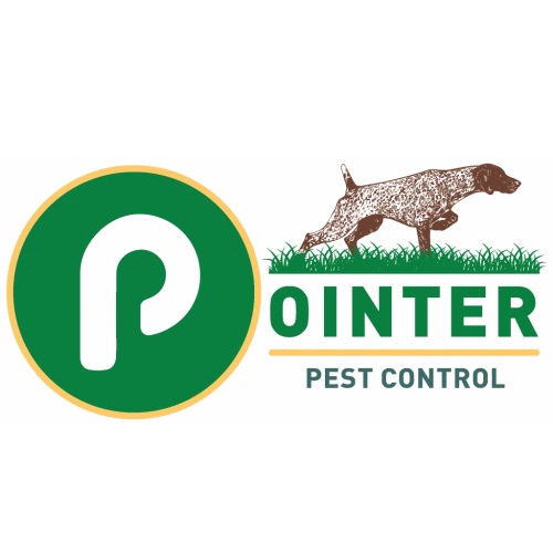 Image for Pointer Pest Control with ID of: 5320443