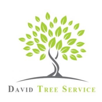 Image for United Tree Care LLC with ID of: 5328900