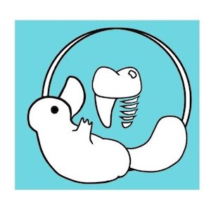 Image for Platypus Dental with ID of: 5329496