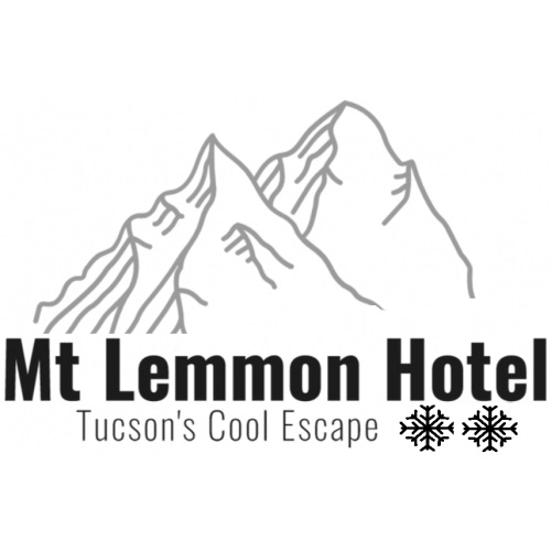Image for Mt Lemmon Hotel with ID of: 5333329