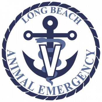Image for Long Beach Animal Emergency with ID of: 5337409