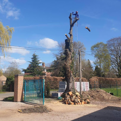 Image for Whelan Tree Services with ID of: 5339181