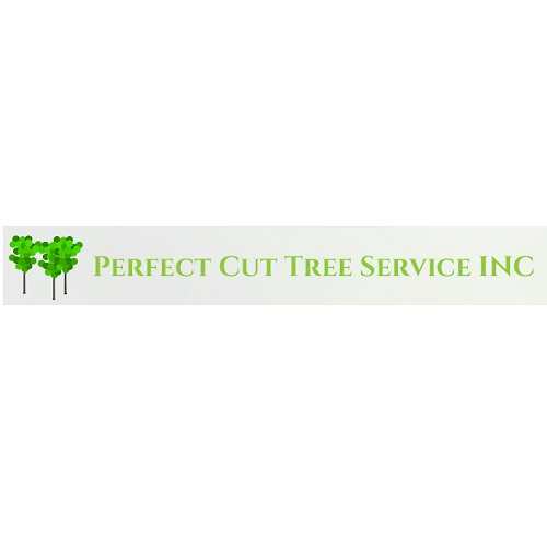 Image for tree trimming cincinnati with ID of: 5353401