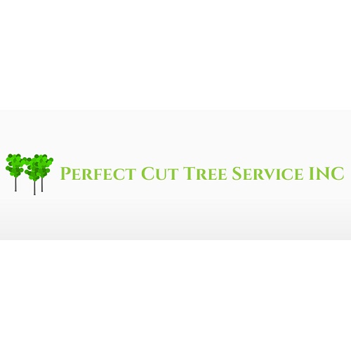 Image for arborist alpharetta ga with ID of: 5373390