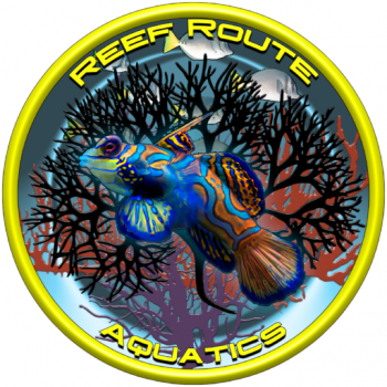 Image for Reef Route Aquatics with ID of: 5377462