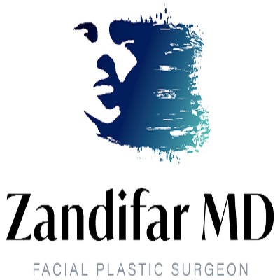 Image for Dr Hootan Zandifar with ID of: 5377893
