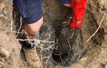 Image for All Levels Plumbing with ID of: 5394514