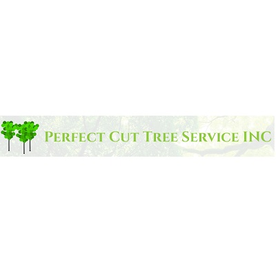 Image for tree service cincinnati with ID of: 5400308