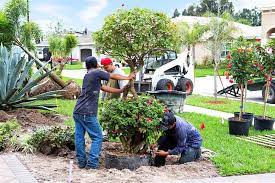 Image for Erae's Tree Lopping Service with ID of: 5404625