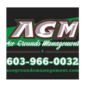 Image for Ace Grounds Management with ID of: 5417423