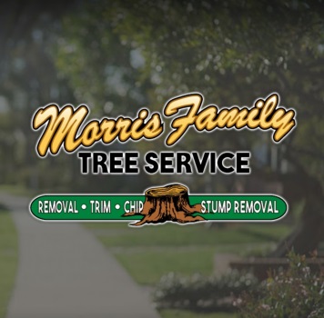 Image for Morris Family Tree Service with ID of: 5420750