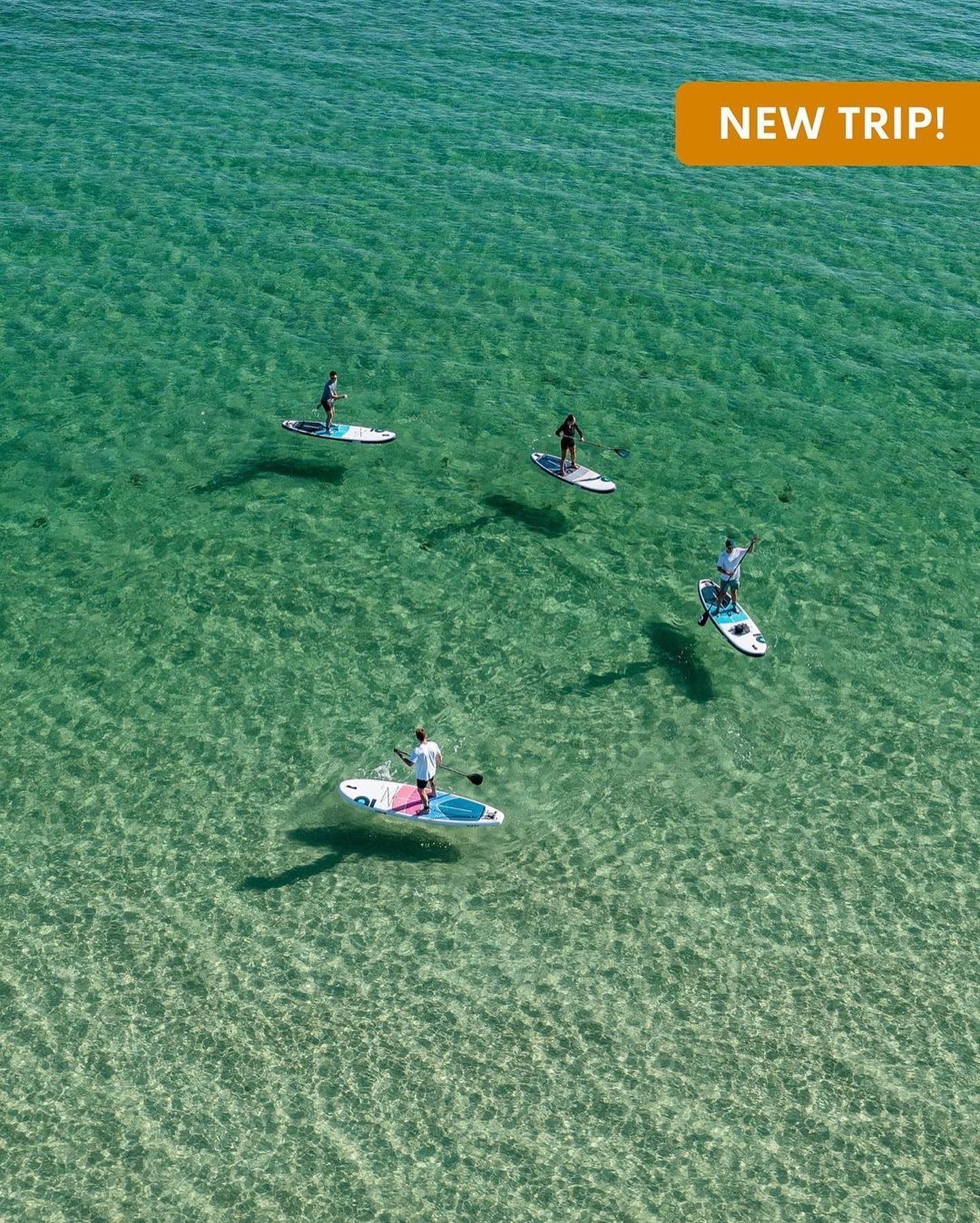 Image for Why Paddleboarding Is Becoming Increasingly Popular? with ID of: 5423040