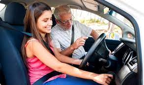 Image for Hamilton Pro Drivers with ID of: 5427615