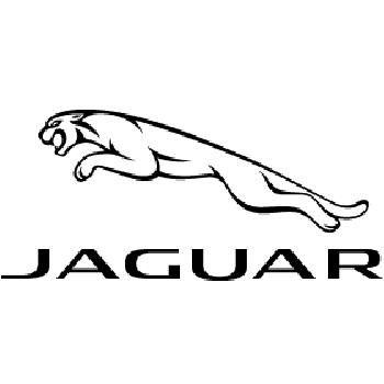 Image for Cole European Jaguar with ID of: 5430497