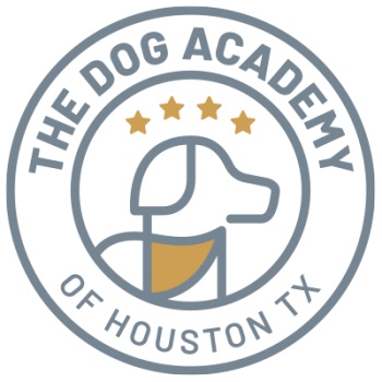 Image for The Dog Academy with ID of: 5439579