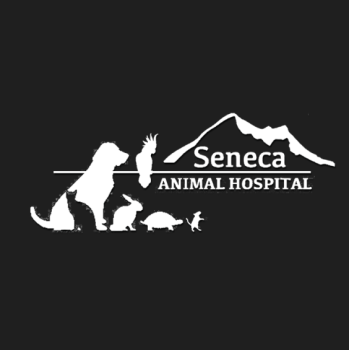 Image for Seneca Animal Hospital with ID of: 5444706