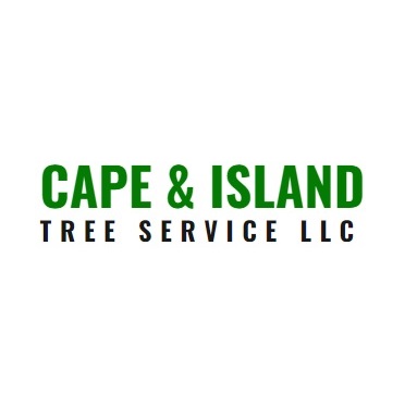 Image for Cape & Island Tree Service with ID of: 5454324