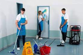Image for The Green Clean Ltd with ID of: 5455267