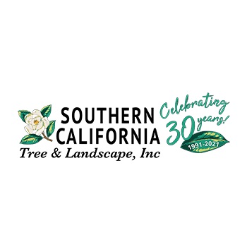 Image for Southern California Tree & Landscape with ID of: 5457022
