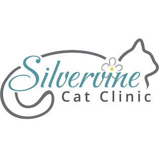 Image for Silvervine Cat Clinic with ID of: 5461066