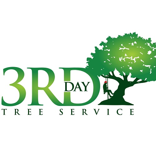 Image for 3rd Day Tree Service, LLC with ID of: 5463554